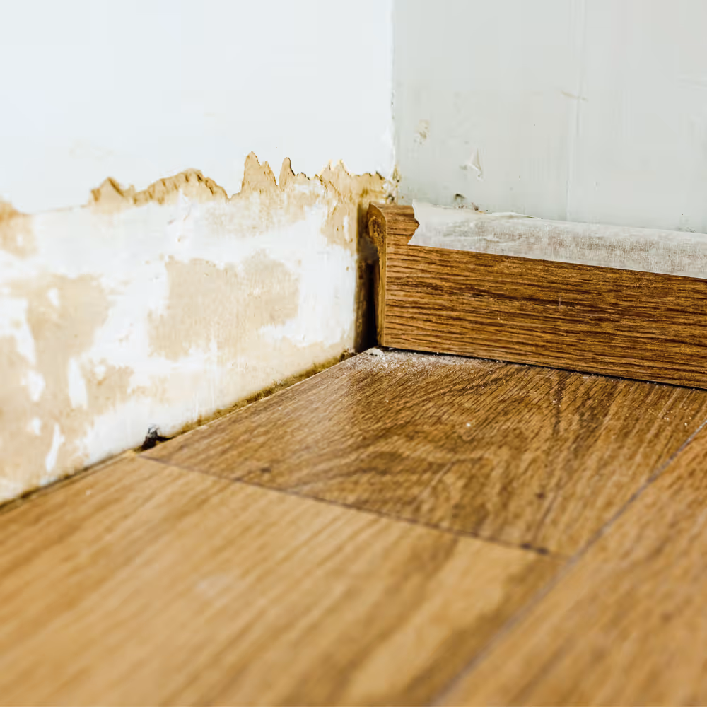 Close-up of damaged lower wall paint and peeling next to a wooden baseboard on a wood floor.